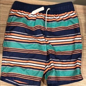 Colorful Striped Swim Shorts